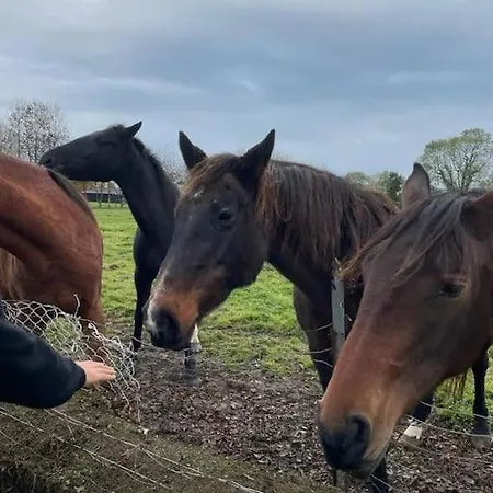 Maison Et Dependance De Gamme Proche De Deauville-trouville