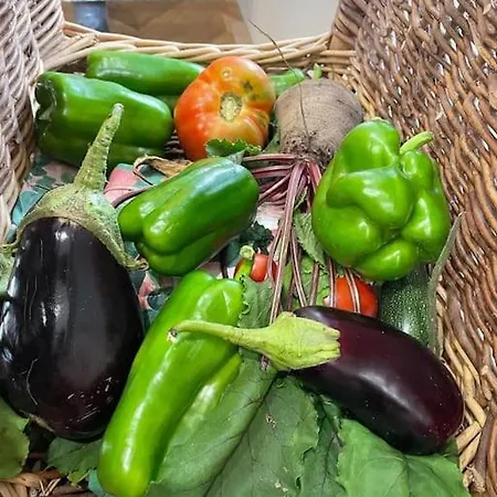 Maison Et Dependance De Gamme Proche De Deauville-trouville بيت للعطل *