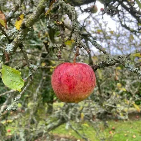Maison Et Dependance De Gamme Proche De Deauville-trouville Les Authieux-sur-Calonne
