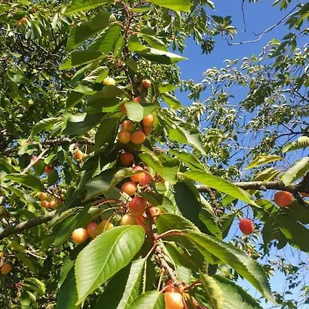 Maison Et Dependance De Gamme Proche De Deauville-trouville * Les Authieux-sur-Calonne