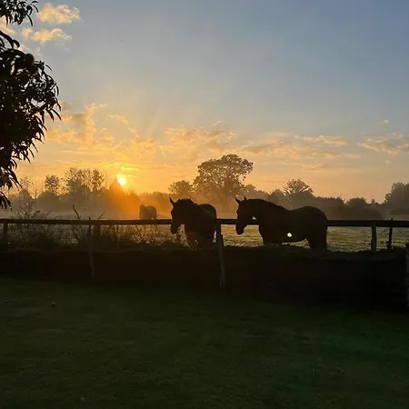 بيت للعطل Maison Et Dependance De Gamme Proche De Deauville-trouville *