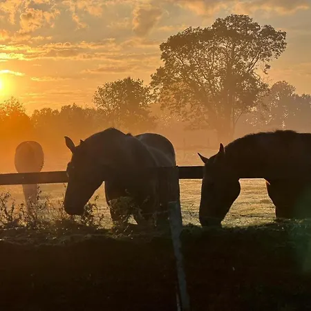 بيت للعطل Maison Et Dependance De Gamme Proche De Deauville-trouville *